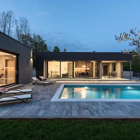 Alison Deluxe With Private And Heated Swimming Pool Nedescina